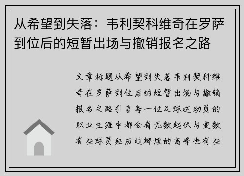 从希望到失落：韦利契科维奇在罗萨到位后的短暂出场与撤销报名之路